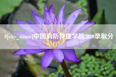 冷水江中国消防救援学院2020录取分