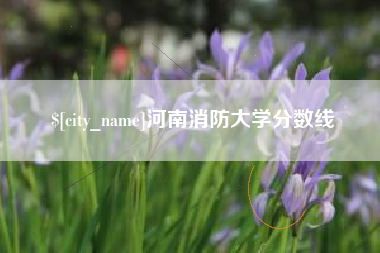 冷水江河南消防大学分数线