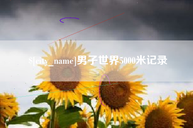 冷水江男子世界5000米记录