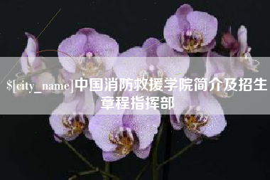 冷水江中国消防救援学院简介及招生章程指挥部