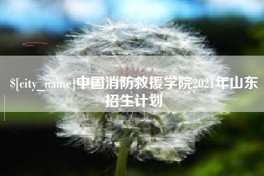 冷水江中国消防救援学院2021年山东招生计划