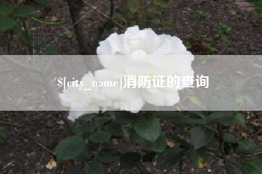 冷水江消防证的查询