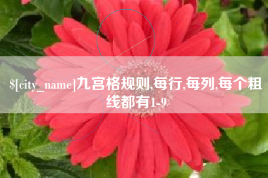 冷水江九宫格规则,每行,每列,每个粗线都有1-9