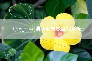 冷水江消防证初级查询系统