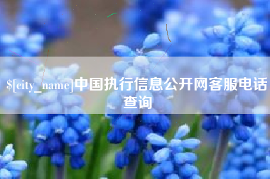 冷水江中国执行信息公开网客服电话查询