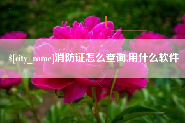 冷水江消防证怎么查询,用什么软件