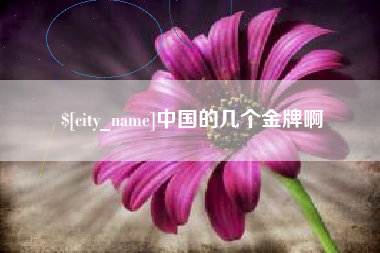冷水江中国的几个金牌啊