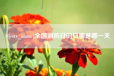 冷水江全国消防日的日期是哪一天