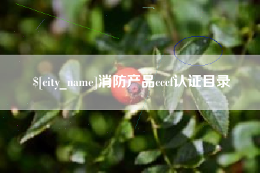 冷水江消防产品cccf认证目录
