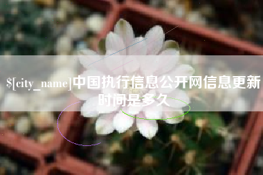 冷水江中国执行信息公开网信息更新时间是多久
