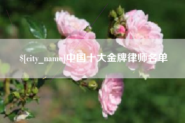 冷水江中国十大金牌律师名单