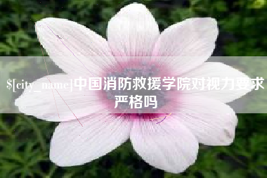 冷水江中国消防救援学院对视力要求严格吗