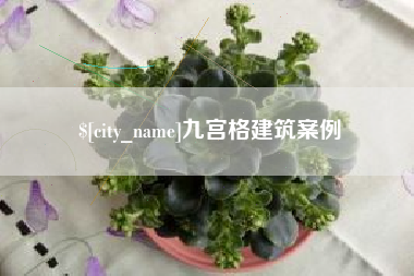 冷水江九宫格建筑案例
