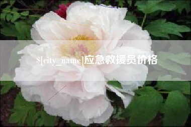 冷水江应急救援员价格