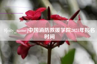 冷水江中国消防救援学院2021年报名时间