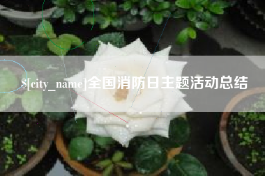 冷水江全国消防日主题活动总结