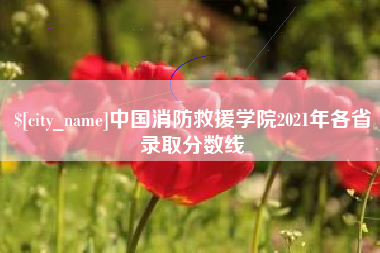 冷水江中国消防救援学院2021年各省录取分数线