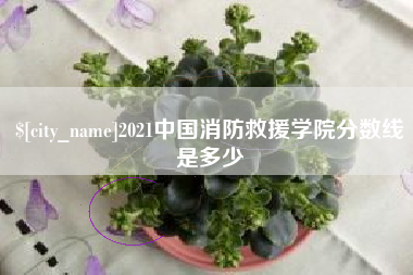 冷水江2021中国消防救援学院分数线是多少