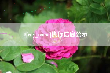 冷水江执行信息公示