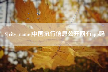 冷水江中国执行信息公开网有app吗