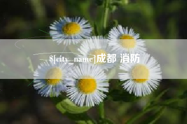 冷水江成都 消防