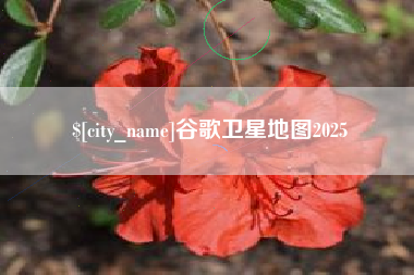 冷水江谷歌卫星地图2025