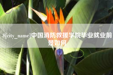冷水江中国消防救援学院毕业就业前景如何