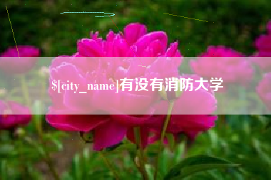 冷水江有没有消防大学