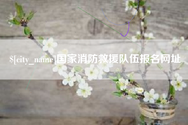 冷水江国家消防救援队伍报名网址