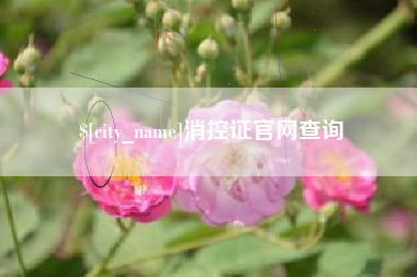 冷水江消控证官网查询