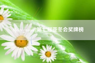 冷水江第七届亚冬会奖牌榜