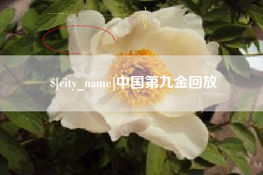 冷水江中国第九金回放