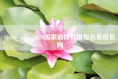 冷水江2020国家消防救援报名系统官网
