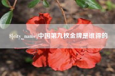 冷水江中国第九枚金牌是谁得的