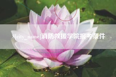 冷水江消防救援学院报考条件