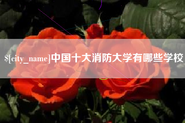 冷水江中国十大消防大学有哪些学校