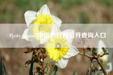 冷水江中国执行网公开查询入口
