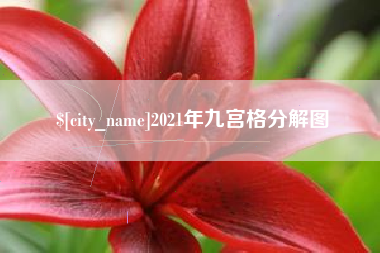 冷水江2021年九宫格分解图