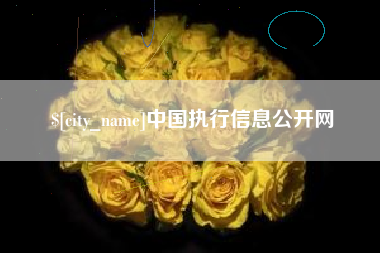 冷水江中国执行信息公开网