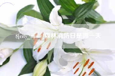 冷水江森林消防日是哪一天