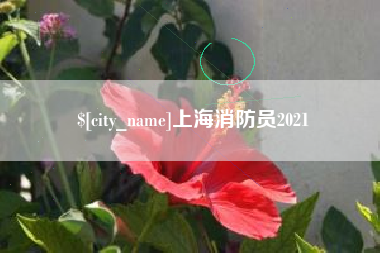 冷水江上海消防员2021