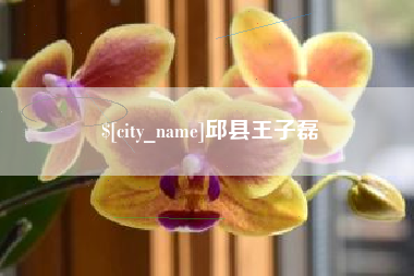 冷水江邱县王子磊