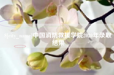 冷水江中国消防救援学院2020年录取结果