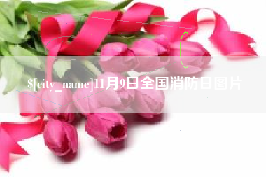 冷水江11月9日全国消防日图片