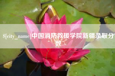 冷水江中国消防救援学院新疆录取分数