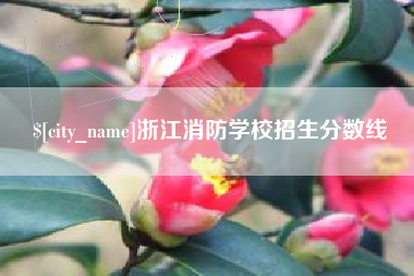 冷水江浙江消防学校招生分数线
