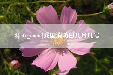 冷水江我国消防日几月几号