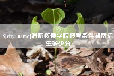 冷水江消防救援学院报考条件湖南招生多少分
