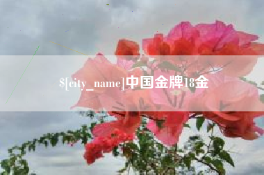 冷水江中国金牌18金