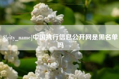 冷水江中国执行信息公开网是黑名单吗
